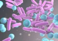 Shigella cases in Kozhikode